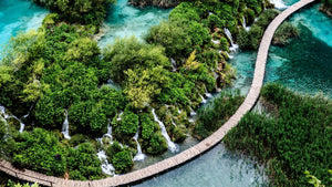 Arrive & Ride: Motorcycle Riding Vacations