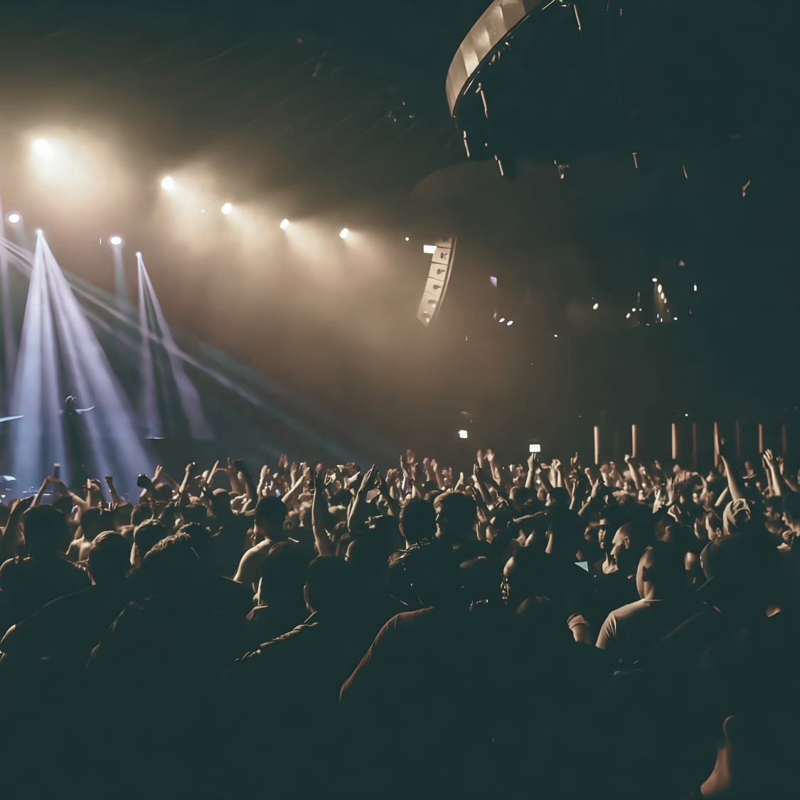 Earplugs for Concerts